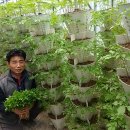 산골짜기농장 시선뉴스