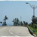 새천년도로(정라) 이미지