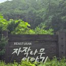 용인나무이야기 | [2024‐07‐07] 용인 처인구 레스토랑 자작나무이야기