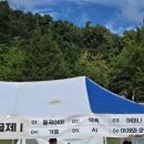 제35회 율곡문화제 이미지