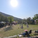 달려라 해피 이미지