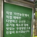 자연이 주는밥상 | 파주 광탄면 마장호수맛집 - [자연밥상] 맛있는 우렁쌈밥정식 후기입니다.