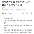 대구 수돗물(쌀, 배추)마이크로시스틴 검출 이미지