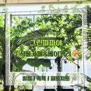 추정골휴양지 | [청주 여행] 피로를 날려버리는 힐링카페🌿 &lt;그린파파야 식물카페&amp;베이커리&gt; 내돈내산 ♡