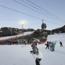 비발디사계 | 홍천 비발디 파크 근처 숙소 추천 비발디 사계 내돈내산 리뷰