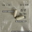 그레이 동물병원 | 야옹섬 솔직 후기(그레이코트 캄, 리밸런스, 닥터토루), 고양이 심장병 영양제