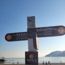 [트레킹] 부산 해파랑길 2코스 트레킹_해운대~해동용궁사