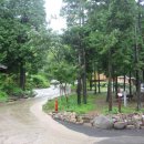 유치자연휴양림 이미지