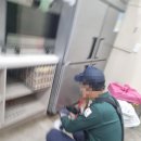 양노로 이미지