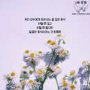 더미모 이미지