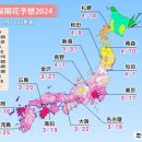 주식회사 벚꽃