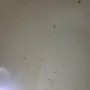 해운대베르나움 이미지