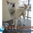 포천로 이미지