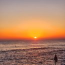 플로리다 대탄 이미지