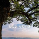 성흥로97번길 이미지