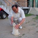 나비랑 바둑이 이미지