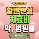 아일리아 | 2025년 황반변성 최신치료법(+치료비, 보험청구, 환자후기)