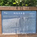 따라비
