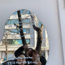 진희상회 이미지