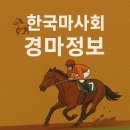 한국마사회 경마정보 총정리! 한눈에 보는 초보자부터 고수까지 완벽 가이드