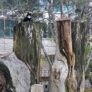 도시풍경 이미지