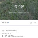 써니의 펜션 스토리 이미지