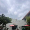 동반자 | 세텍 파충류 동반자 전시회 후기, 9세 아이와 특별한 주말 체험 다녀왔어요!