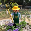 베스트아울렛디시마트 이미지