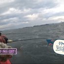 쭈꾸미달인 - 제주시 | 쭈꾸미달인