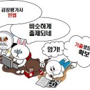 통정12로 이미지