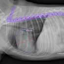 수원 스카이 동물메디컬센터 이미지