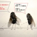 추억코너주점 이미지