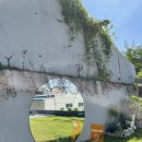 (주)에버뷰 이미지