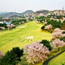 (주)제일스포츠센타 이미지