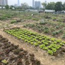 서강석농장 이미지