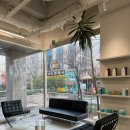 수원-0050 | 진정성이 느껴지는 분당미용실 요미앤디에서의 헤어변신