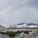오늘무지개