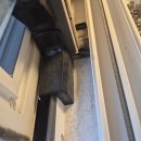 포항시남구43 | 🔮포항43평형 입주청소🔮