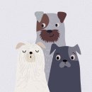 그냥교회 출석합니다. 이미지