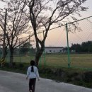 벚나무공원 화장실 이미지