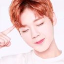 529 이미지
