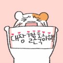 정*규 이미지
