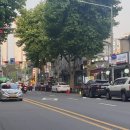 주정차-14 이미지