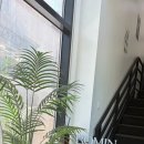 로민헤어 대구 삼덕점