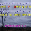 하늘보라 이미지