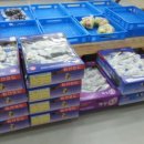 고송농장 이미지