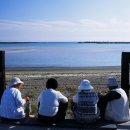 신양리입구 이미지