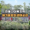 평화생태공원 방문 상세후기: 티켓수령(사전온라인...흔들다리, 전망대, 스타벅스, 북한뷰, 문화해설