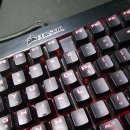 수원-0021 이미지