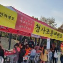 청사초롱 이미지